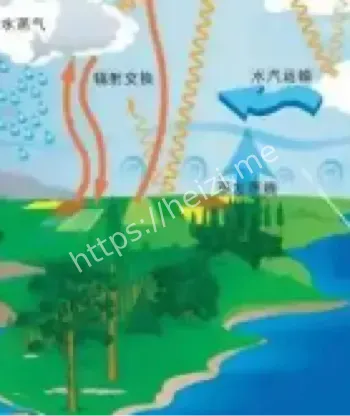 全球水循环失衡原因